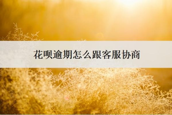 花呗逾期怎么跟客服协商?支付宝不同意协商还款怎么办?