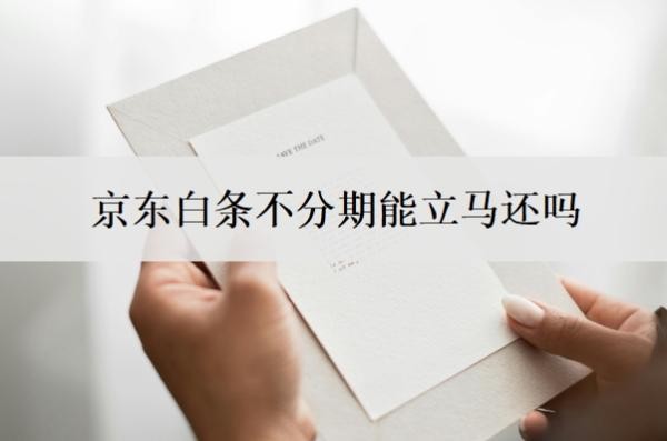 京东白条不分期能立马还吗?分期好还是不分期好?