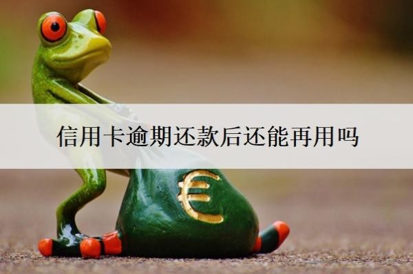 信用卡逾期还款后还能再用吗?怎么自己申请停息挂账?