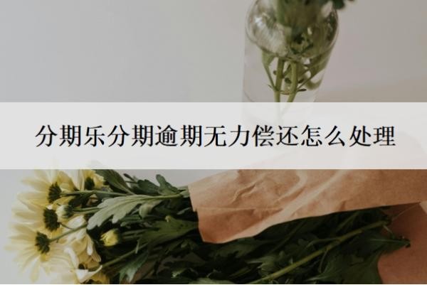 分期乐分期逾期无力偿还怎么处理?逾期不还会怎样?