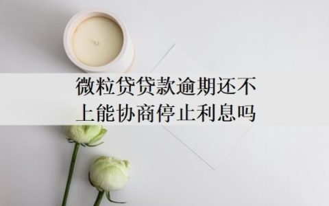 微粒贷贷款逾期还不上能协商停止利息吗？暂时无力偿还会怎样？