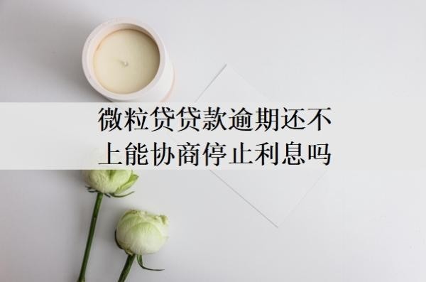 微粒贷贷款逾期还不上能协商停止利息吗?暂时无力偿还会怎样?