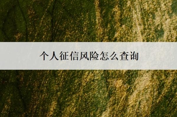 个人征信风险怎么查询?征信可能存在风险是什么意思?