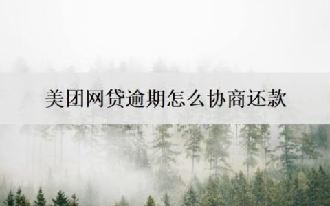 美团网贷逾期怎么协商还款？美团网贷逾期起诉立案标准
