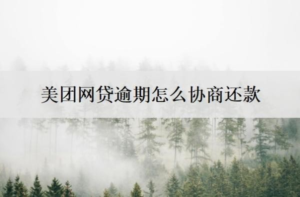 美团网贷逾期怎么协商还款?美团网贷逾期起诉立案标准