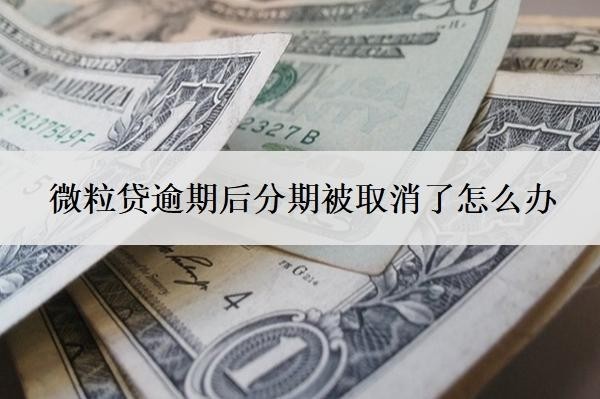 微粒贷逾期后分期被取消了怎么办?逾期一次多久可以恢复借款?