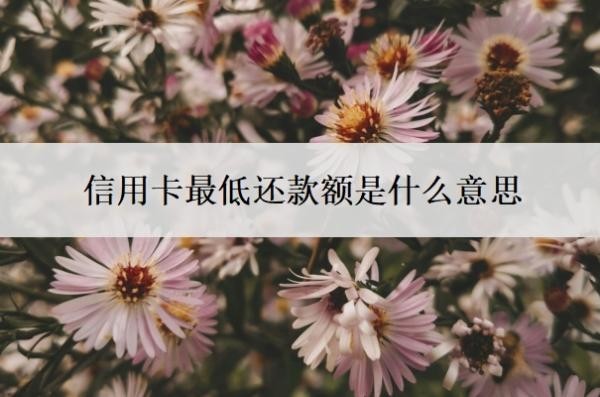 信用卡最低还款额是什么意思？怎么申请60期无息还款？