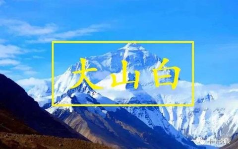 全新建行大山白值得申请吗？全方位解析！