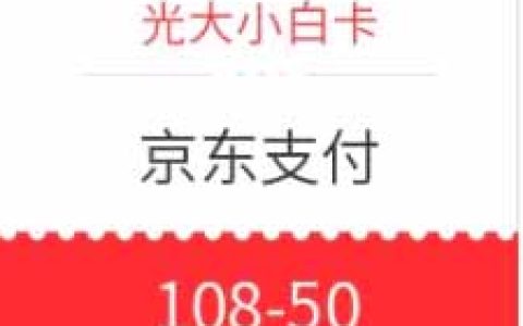 光大小白卡 X 京东 京东支付 满108减50