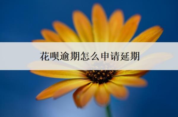花呗逾期怎么申请延期?延期还款利息怎么算?