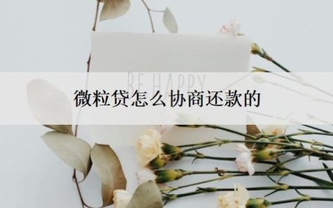 微粒贷怎么协商还款的？怎么手动还款？