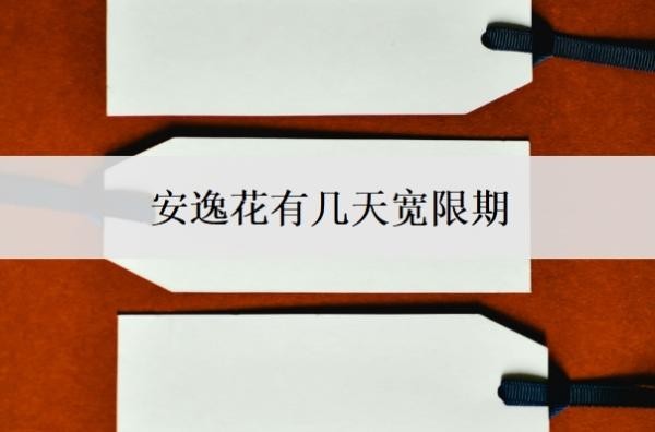 安逸花有几天宽限期?逾期3天会怎样?