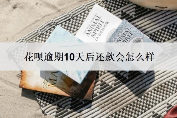 花呗逾期10天后还款会怎么样？怎么协商还本金？