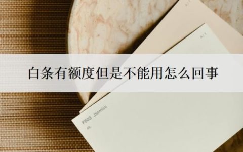 白条有额度但是不能用怎么回事？白条风控解除最简单方法