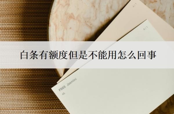白条有额度但是不能用怎么回事?白条风控解除最简单方法
