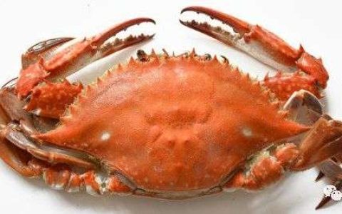 干货 | 浦发免费酒店变了 几家银行的变与不变