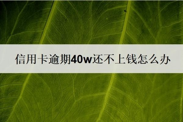 信用卡逾期40w还不上钱怎么办？征信上显示信用卡欠多少钱吗？