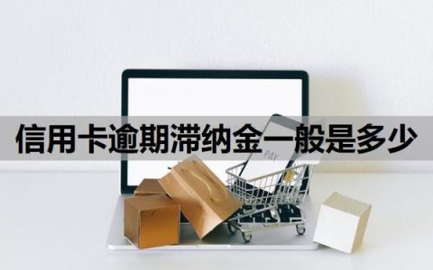 信用卡逾期滞纳金一般是多少？逾期费用可以减免吗？