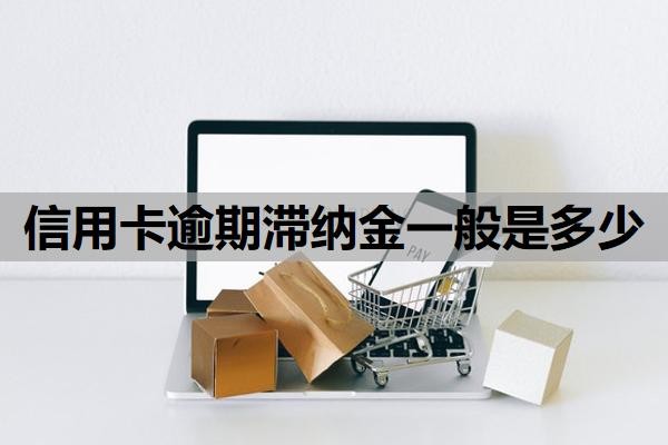 信用卡逾期滞纳金一般是多少?逾期费用可以减免吗?