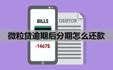 微粒贷逾期后分期怎么还款？可以申请延期还款吗？