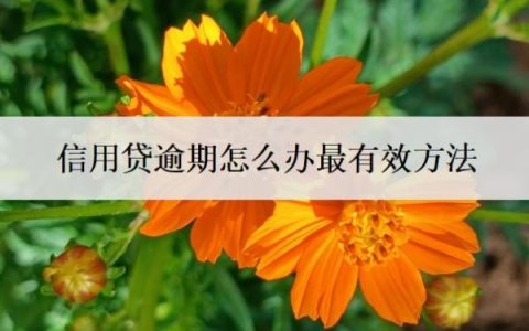 信用贷逾期怎么办最有效方法？信用贷逾期不还的后果
