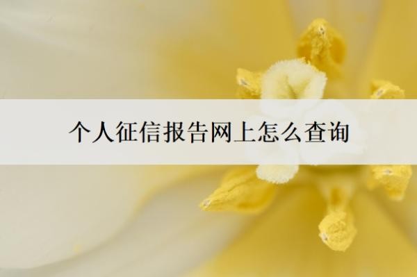 个人征信报告网上怎么查询?为啥不能随便查?