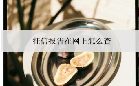 征信报告在网上怎么查？个人征信逾期记录怎么消除？