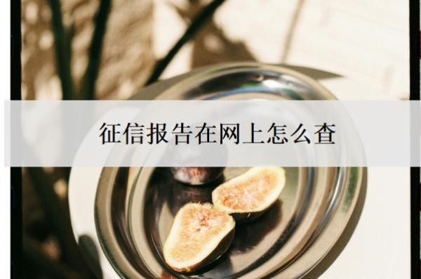 征信报告在网上怎么查?个人征信逾期记录怎么消除?