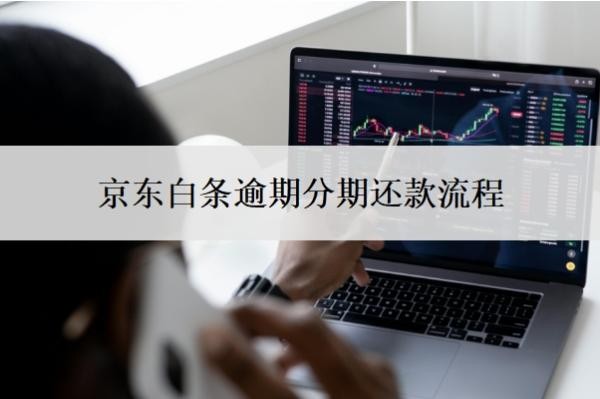 京东白条逾期分期还款流程,金条逾期多久会上门