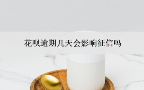 花呗逾期几天会影响征信吗？还款晚了1天怎么办？