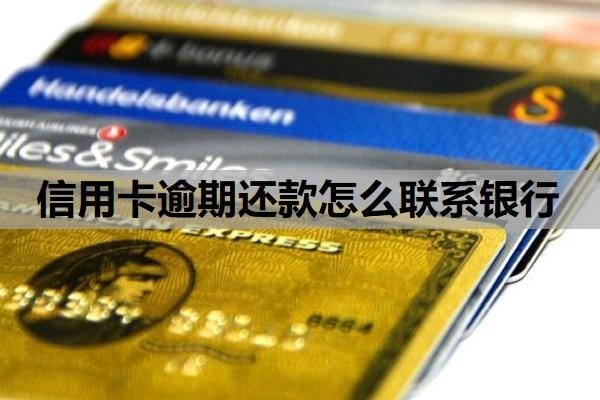 信用卡逾期还款怎么联系银行?逾期利息怎么算?