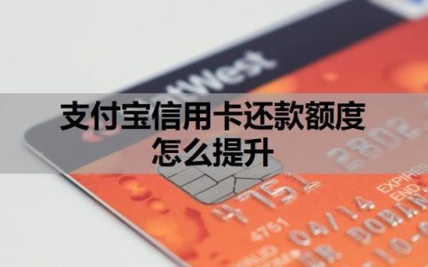支付宝信用卡还款额度怎么提升？分期不是本人能分期的吗？