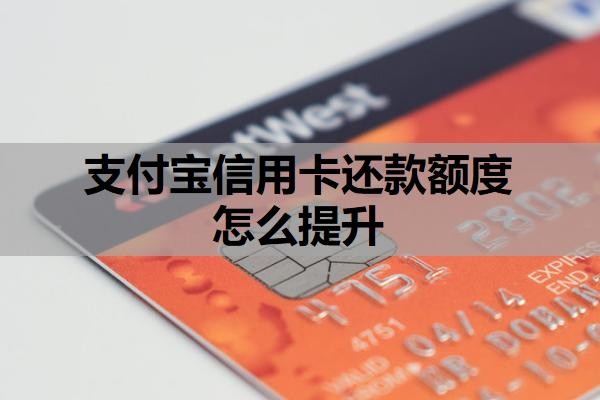 支付宝信用卡还款额度怎么提升?分期不是本人能分期的吗?