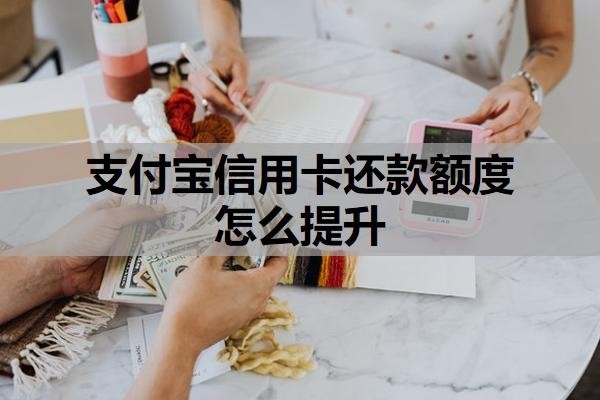 支付宝信用卡还款额度怎么提升?分期不是本人能分期的吗?