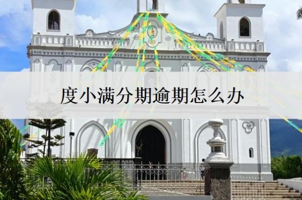 度小满分期逾期怎么办?逾期几天会让全款?