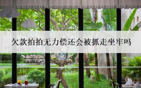 欠款拍拍无力偿还会被抓走坐牢吗？欠钱被起诉了确实没有钱还怎么办？