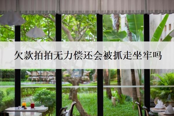 欠款拍拍无力偿还会被抓走坐牢吗?欠钱被起诉了确实没有钱还怎么办?