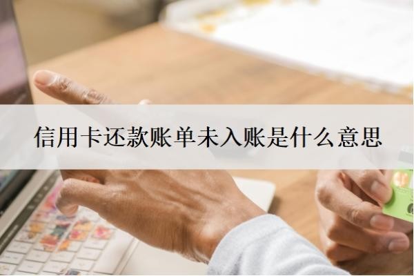信用卡还款账单未入账是什么意思？未入账会退回吗？