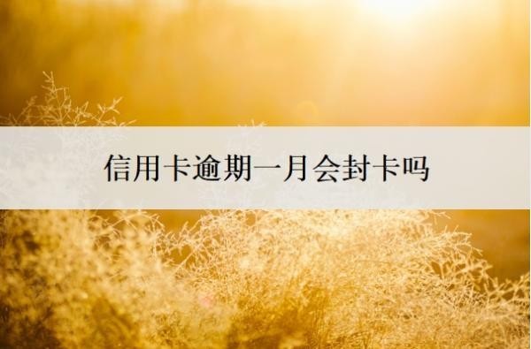 信用卡逾期一月会封卡吗?逾期利息怎么算?
