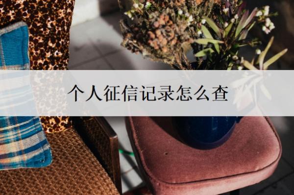 个人征信记录怎么查?怎样快速恢复?