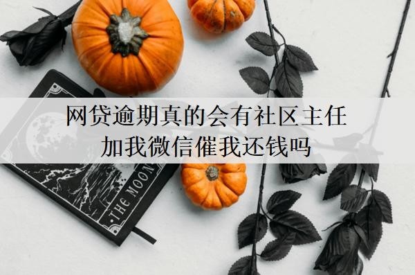网贷逾期真的会有社区主任加我微信催我还钱吗?催收找到社区合法吗?