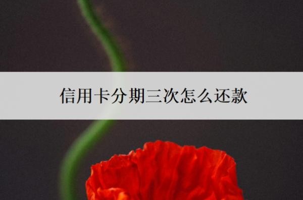 信用卡分期三次怎么还款?还能一次性还吗?