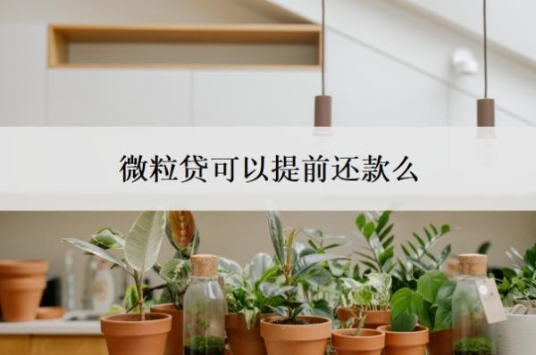 微粒贷可以提前还款么?可以申请延期还款吗?