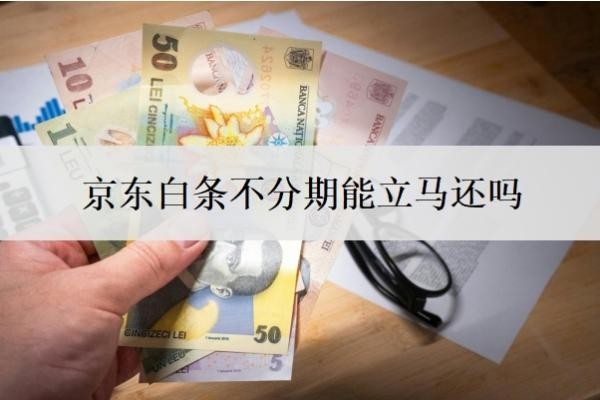 京东白条不分期能立马还吗?分期好还是不分期好?