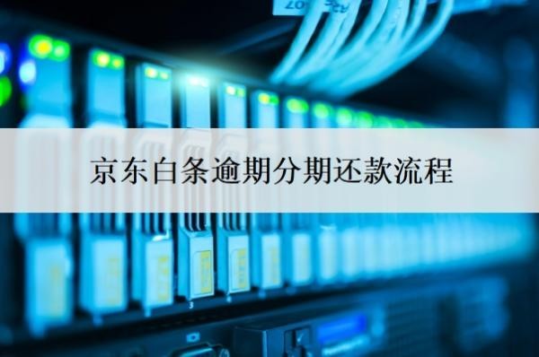 京东白条逾期分期还款流程,金条逾期多久会上门