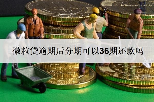 微粒贷逾期后分期可以36期还款吗?可以申请延期还款吗?