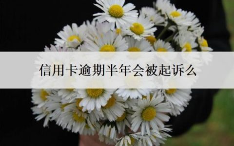 信用卡逾期半年会被起诉么？欠信用卡钱逾期了半年怎么办？