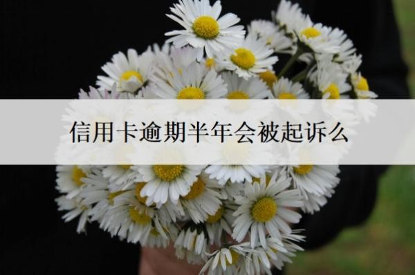 信用卡逾期半年会被起诉么?欠信用卡钱逾期了半年怎么办?