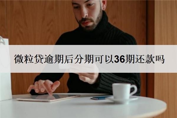 微粒贷逾期后分期可以36期还款吗?可以申请延期还款吗?