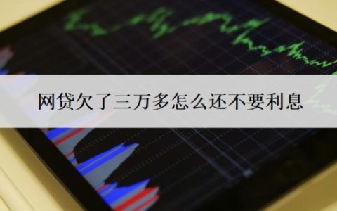 网贷欠了三万多怎么还不要利息？不还会怎样？